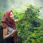 Gdzie w Polsce uprawia się jęczmień