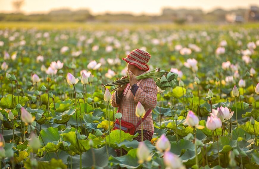 Gdzie uprawia się żyto w Polsce