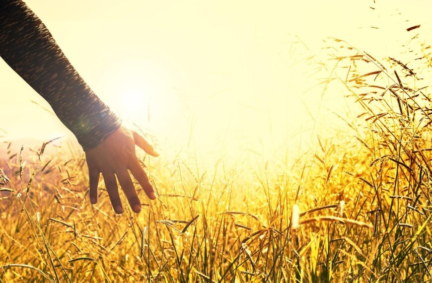 Jaka klimatyzacja do kampera