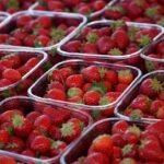 Jakie owoce uprawia się w Polsce