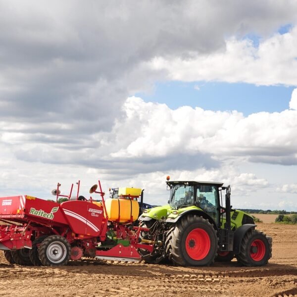 Gdzie w Polsce uprawia się grykę