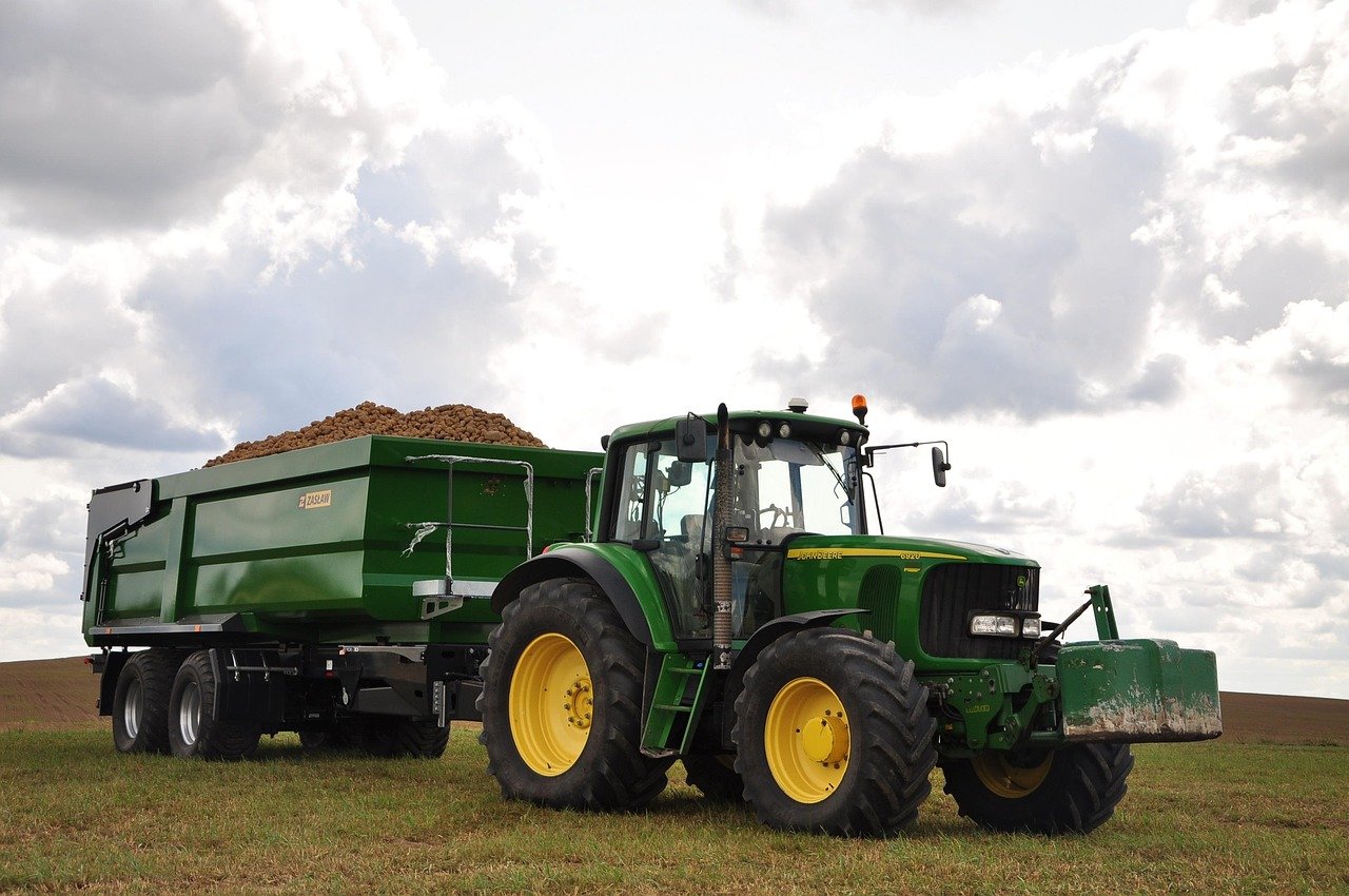 Kukurydza gdzie się uprawia w Polsce