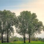 Jaka temperatura do spania klimatyzacja