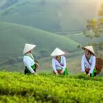 Jakie zboża uprawia się w Polsce