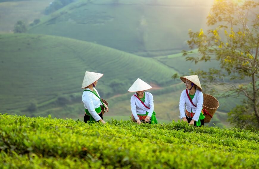 Jakie zboża uprawia się w Polsce