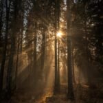 Jaka klimatyzacja na poddasze