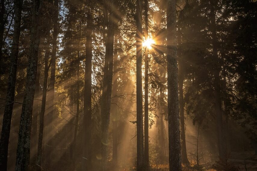 Jaka klimatyzacja na poddasze