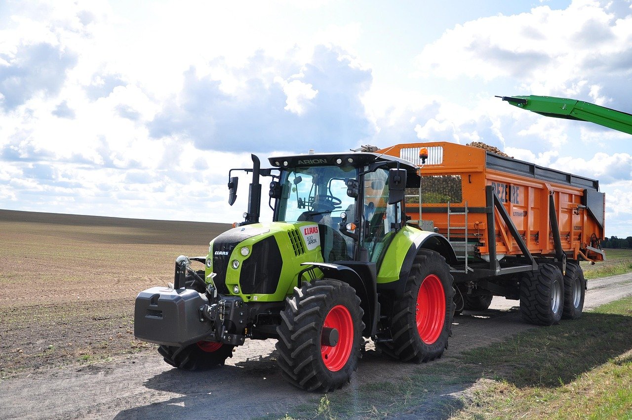 Gdzie w Polsce uprawia się orkisz