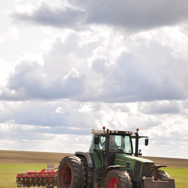 Gdzie uprawia się pszenżyto w Polsce